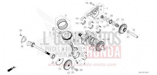 ALBERO MOTORE/PISTONE CMX1100D3T di 2026